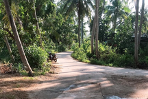 Bé 4 tuổi vặn tay ga, 3 người trong một gia đình tử vong