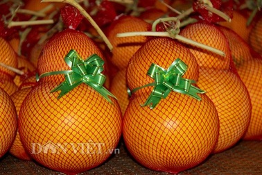 Dưa hấu hồ lô miền Tây: Hiếm hàng vì thời tiết khắc nghiệt