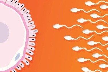 Những nguy cơ gây vô sinh nam giới ít biết