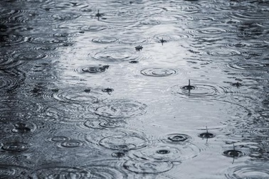 Trong tương lai sẽ mưa nhiều hơn