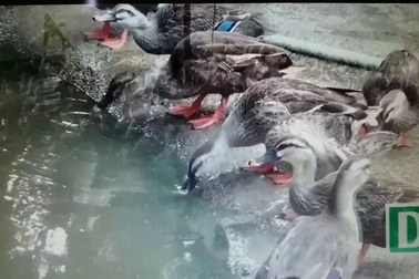 Anh Nguyễn Đăng Cường chia sẻ về dự án khởi nghiệp của mình