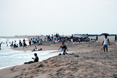 Cá “khổng lồ” mất hút, người dân lại đổ xô tắm biển