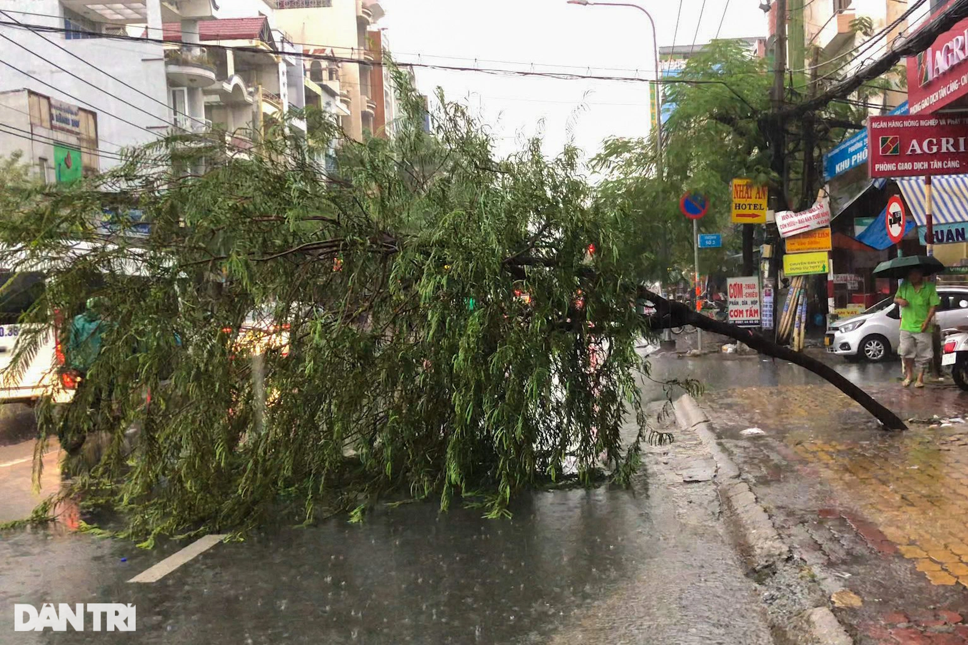 Cây gẫy đổ, đường ngập sâu trong mưa lớn ở TPHCM - 5 Cây gẫy đổ, đường ngập sâu trong mưa lớn ở TPHCM - 5