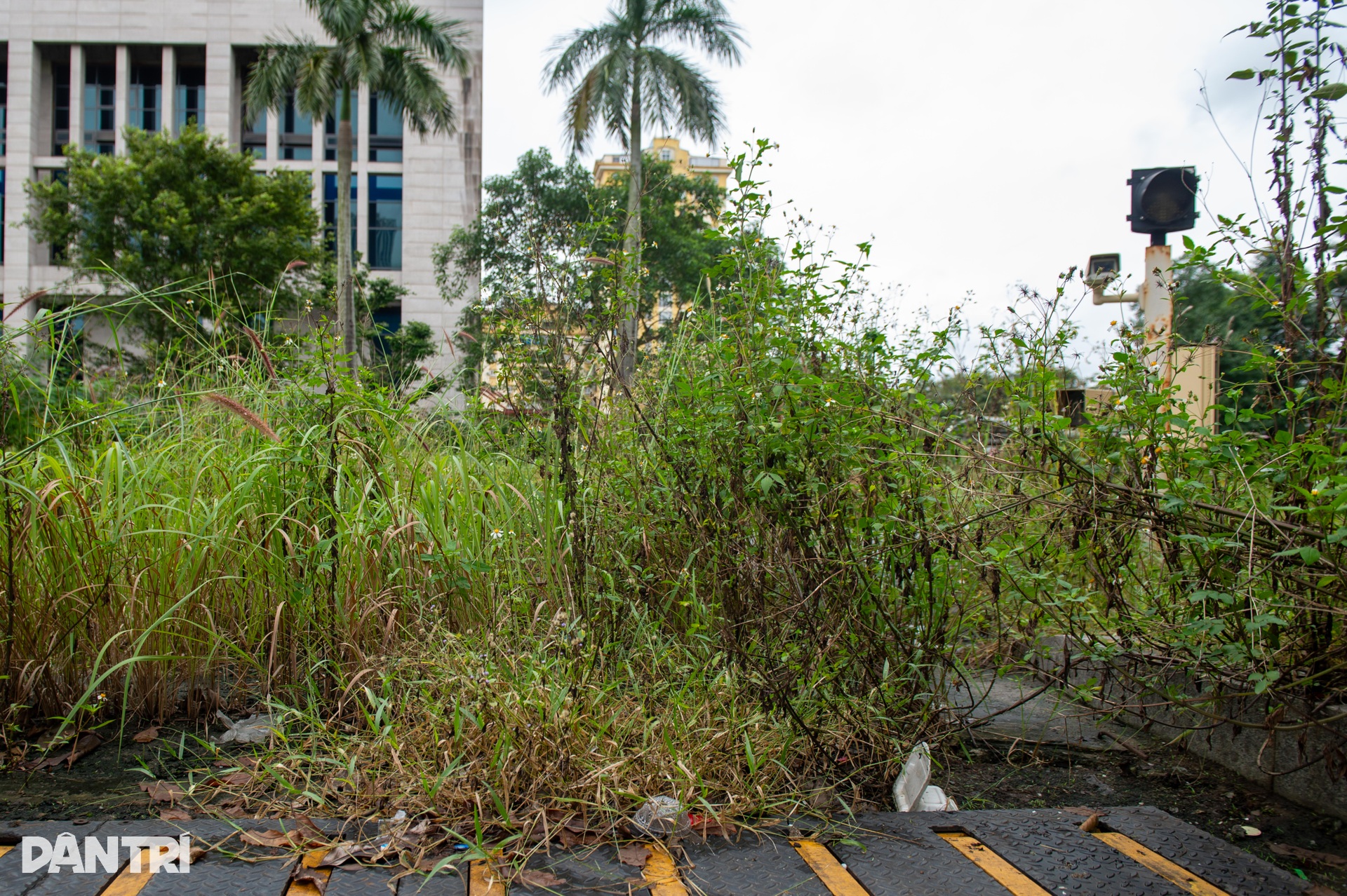 Hiện trạng dự án trụ sở Bộ Ngoại giao gây lãng phí hơn 4.000 tỷ đồng - 11