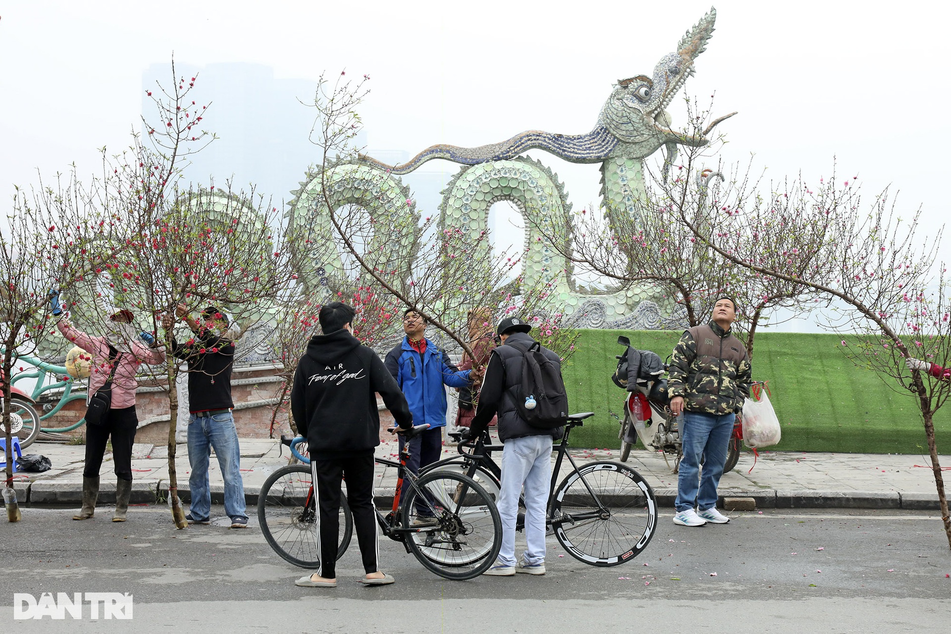 People flock to Lac Long Quan flower market to shop for Tet - 2