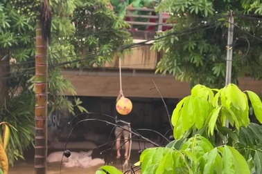 Khoảnh khắc thót tim cứu người mắc kẹt giữa nước lũ ở Thái Nguyên