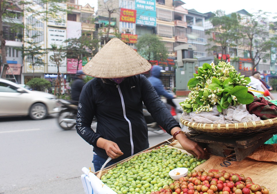 Kiếm tiền triệu mỗi ngày nhờ bán nhót xanh - 3 Kiếm tiền triệu mỗi ngày nhờ bán nhót xanh - 3