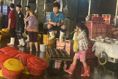 Những đứa trẻ phiêu dạt ở chợ đầu mối