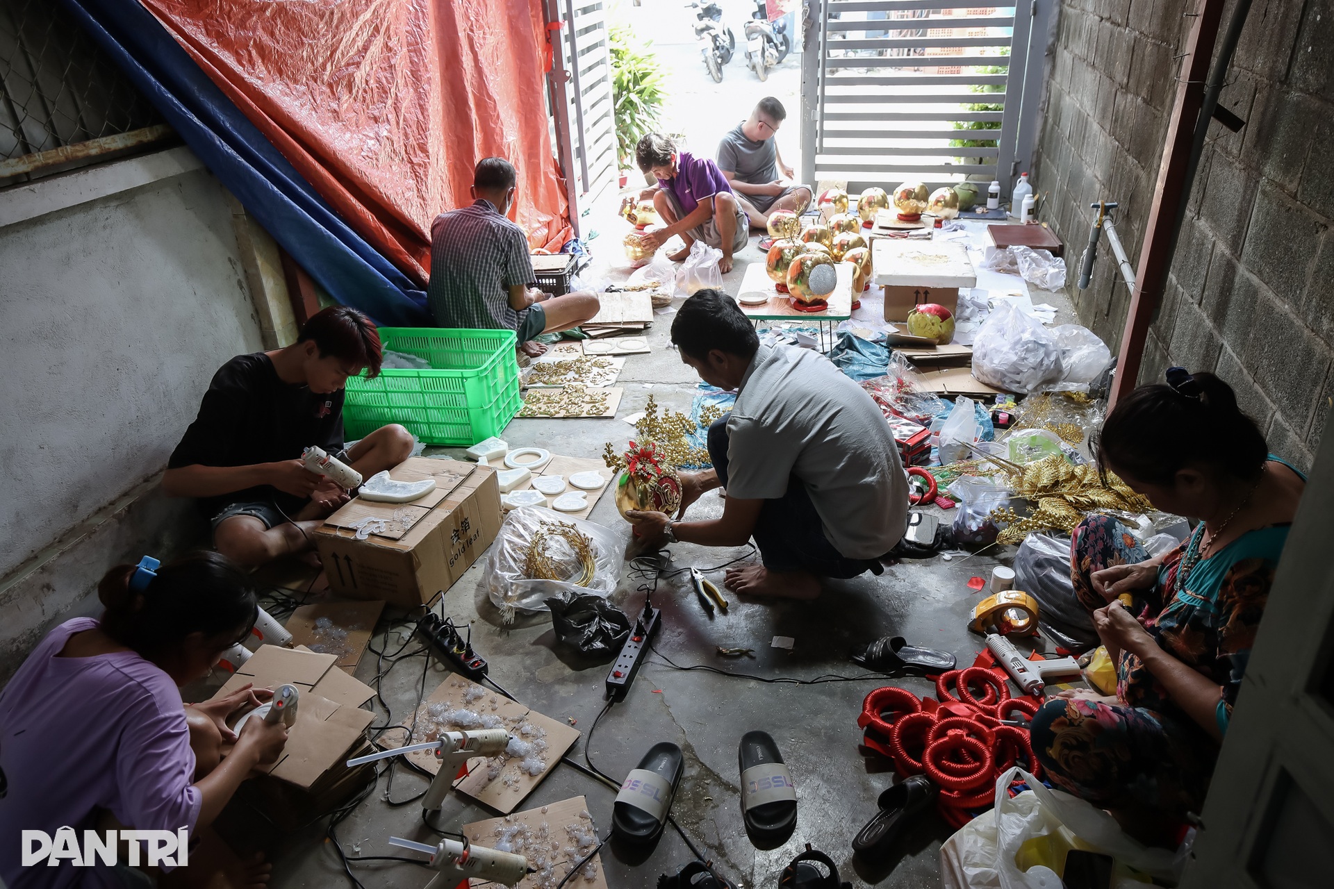 Dừa dát vàng 24K chưng Tết hút khách ở TPHCM - 1 Dừa dát vàng 24K chưng Tết hút khách ở TPHCM - 1