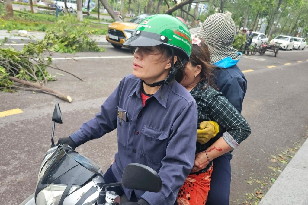Cây xanh bật gốc giữa phố đè trúng ô tô và một phụ nữ - 2 Cây xanh bật gốc giữa phố đè trúng ô tô và một phụ nữ - 2
