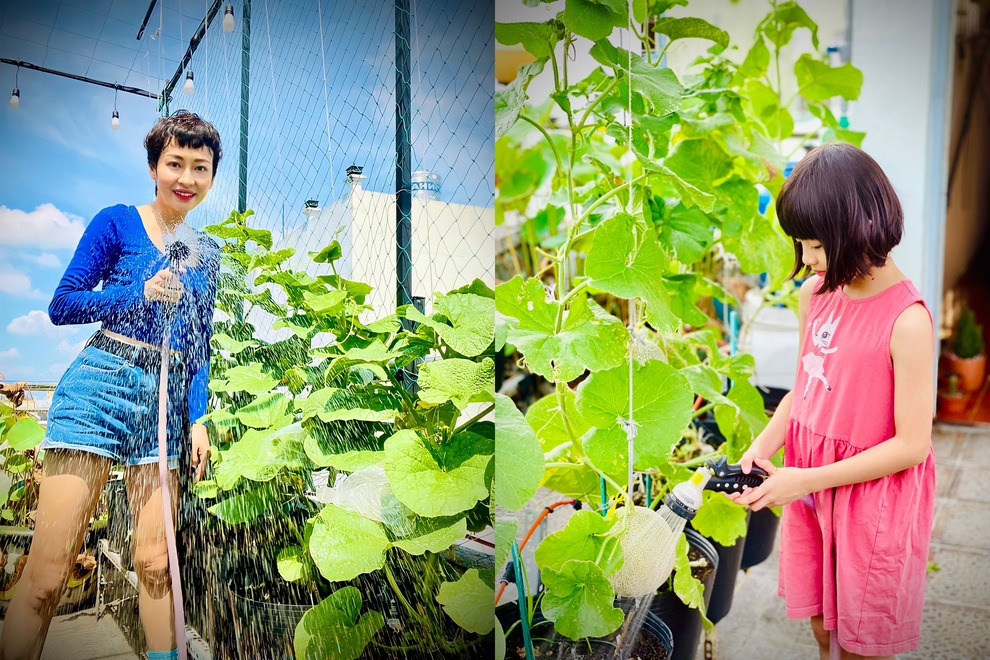 Những gia đình Việt sống khỏe nhờ vườn sân thượng xanh tốt giữa mùa dịch - 14 Những gia đình Việt sống khỏe nhờ vườn sân thượng xanh tốt giữa mùa dịch - 14