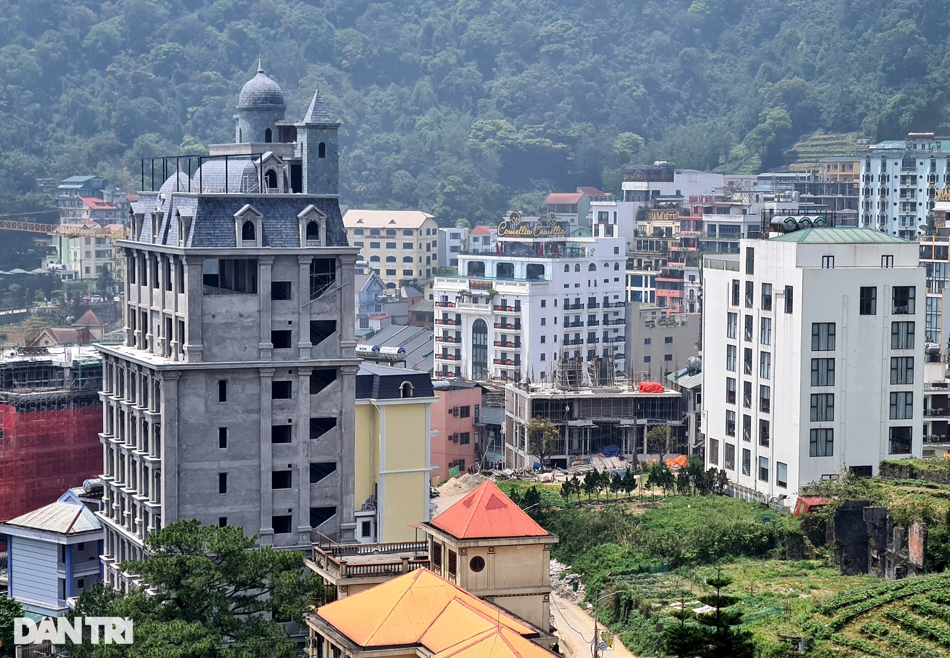 Cận cảnh rừng bê tông ở khu du lịch Tam Đảo - 4 Cận cảnh rừng bê tông ở khu du lịch Tam Đảo - 4