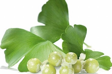 Công nghệ siêu vi Nano Ginkgo Biloba- Hỗ trợ cho người bệnh rối loạn tiền đình