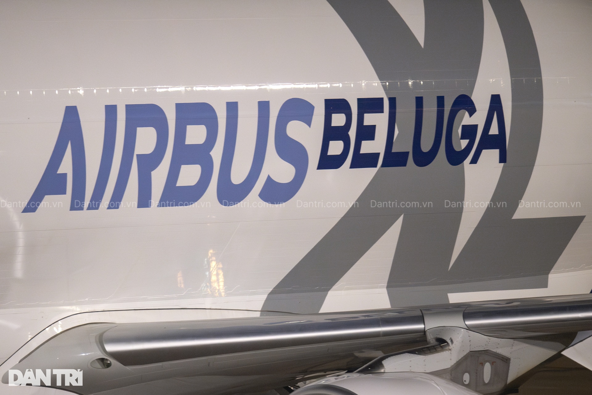 Siêu máy bay vận tải Airbus Beluga XL cá voi trắng lần đầu đến Việt Nam - 5 Siêu máy bay vận tải Airbus Beluga XL cá voi trắng lần đầu đến Việt Nam - 5