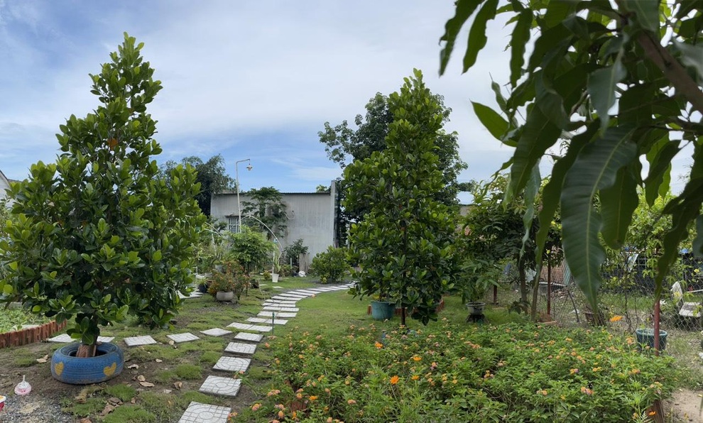 Chi 10 triệu đồng, vợ chồng Bình Dương biến đất cằn thành khuôn viên xanh - 6 Chi 10 triệu đồng, vợ chồng Bình Dương biến đất cằn thành khuôn viên xanh - 6