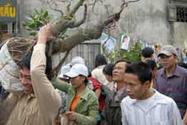 Đầu năm bán rủi mua may