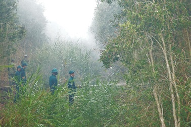 Khô hạn gay gắt, liên tiếp cháy rừng ở U Minh Hạ