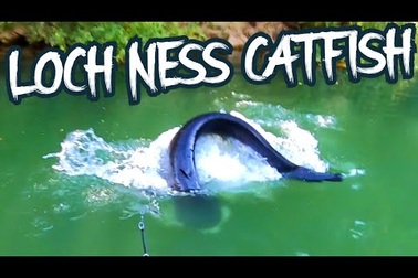 Trải nghiệm câu cá trê