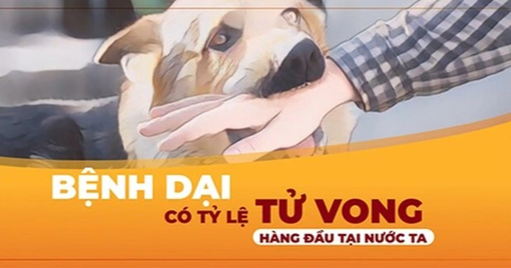 Bị chó nhà cắn, bé trai 2 tuổi phát bệnh dại - 1 Bị chó nhà cắn, bé trai 2 tuổi phát bệnh dại - 1
