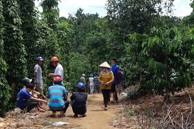 Ba bố con chết thảm trong chòi rẫy sau một đêm mất tích
