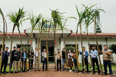 Độc đáo nông dân vác mía đi thi hoa hậu