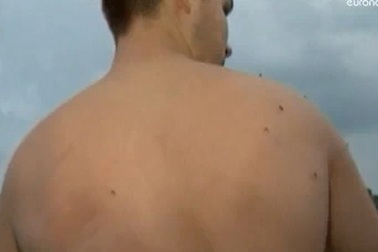 Cuộc thi bắt muỗi kỳ quặc ở Estonia