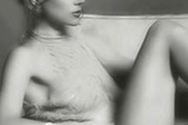 Những bức ảnh đẹp mê hồn của "thiên nga" nước Úc