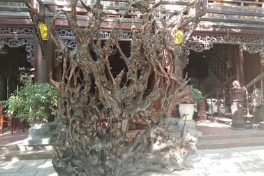 Chiêm ngưỡng bộ rễ gỗ trai tiền tỷ tuyệt đẹp của ông chủ thầu Hà Tĩnh