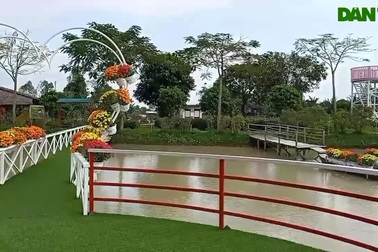 Đến Cánh đồng hoa... xem cá lóc bay