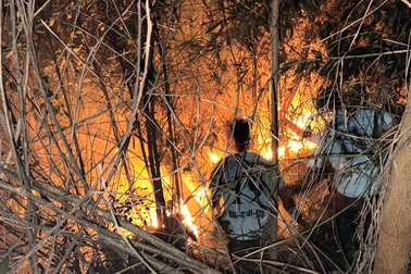 Hàng trăm cảnh sát dập vụ cháy rừng ở Bình Định