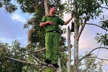 Công an leo cây “bắt sóng” điện thoại trong thôn biệt lập giữa rừng