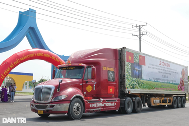 Vĩnh Long xuất khẩu lô khoai lang chính ngạch đầu tiên sang Trung Quốc