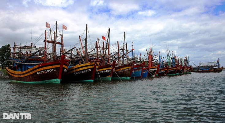Quảng Bình chi hơn 24 tỷ đồng hỗ trợ ngư dân bám biển - 1