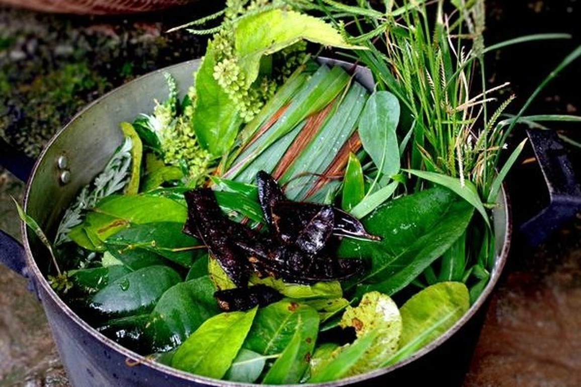 Nhà nhà xông hơi chữa Covid-19, chuyên gia cảnh báo nguy hiểm nếu lạm dụng - 3 Nhà nhà xông hơi chữa Covid-19, chuyên gia cảnh báo nguy hiểm nếu lạm dụng - 3