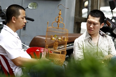 Đại gia Hà thành bỏ trăm triệu đồng chơi chim