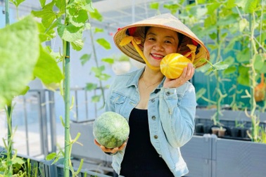 Mẹ đảm Đồng Nai trồng rau trái trên sân thượng 100m2 ăn quanh năm