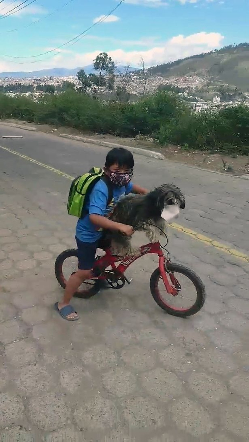 Xúc động khoảnh khắc cậu bé đeo khẩu trang cho cún cưng - 3 Xúc động khoảnh khắc cậu bé đeo khẩu trang cho cún cưng - 3
