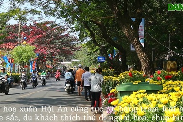 Hội An rực rỡ trong sắc xuân
