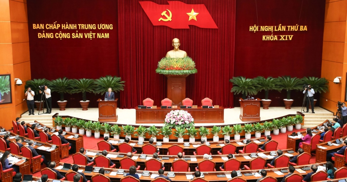dantri.com.vn
