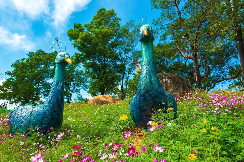 Tháng 6 về Tây Ninh trẩy hội Vía Bà - 3 Tháng 6 về Tây Ninh trẩy hội Vía Bà - 3