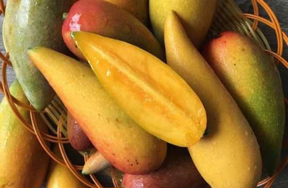 Muốn tránh xa ung thư vú chị em tìm ăn các loại trái cây này - 1 Muốn tránh xa ung thư vú chị em tìm ăn các loại trái cây này - 1