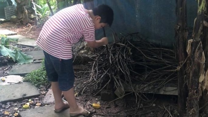 Nhắc nhở, không để trẻ em chơi, nghịch ở những chỗ ẩm ướt, nhiều củi mục rất dễ bị rắn cắn. Ảnh Lê Thúy