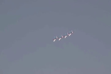 Dàn máy bay “khoe dáng” tại triển lãm hàng không Dubai