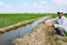 Chính quyền “bó tay” trước hành vi “chí phèo”: Chẳng lẽ Luật nước lại thua…luật rừng?