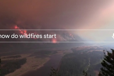 Tổng hợp những chủ đề "hot" được tìm kiếm nhiều nhất trên Google trong năm 2017