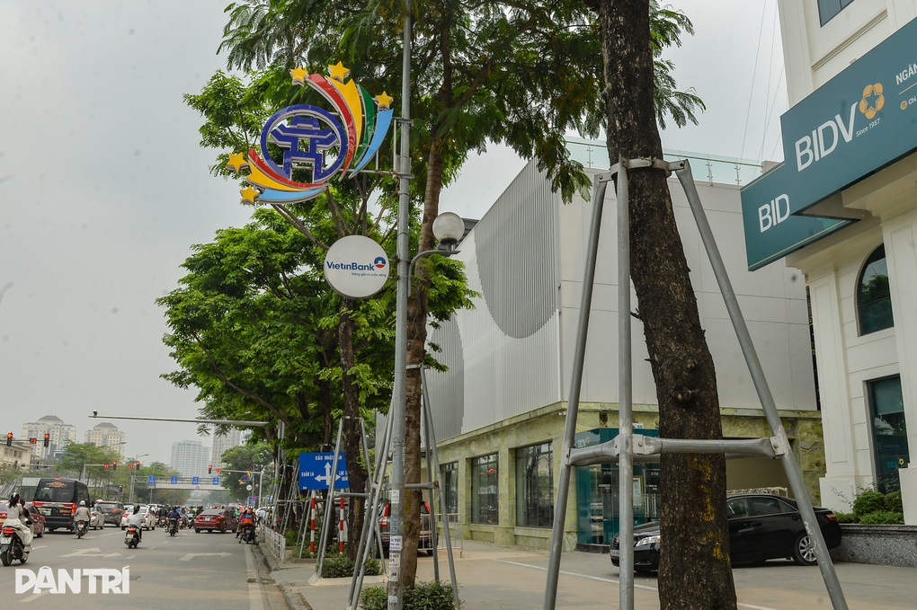 Nhiều cây xanh ở Hà Nội vẫn bị siết cổ - 1 Nhiều cây xanh ở Hà Nội vẫn bị siết cổ - 1