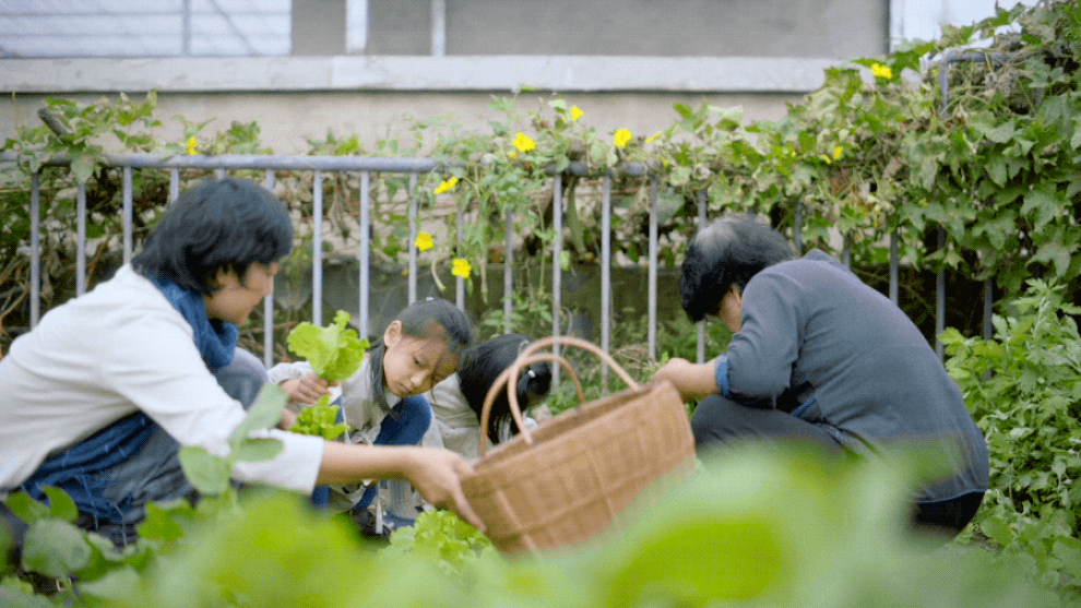 Giám đốc bỏ phố về làng, cải tạo nhà đổ nát để trồng rau, sống an yên - 9 Giám đốc bỏ phố về làng, cải tạo nhà đổ nát để trồng rau, sống an yên - 9