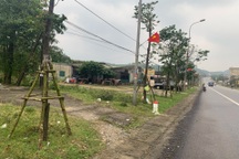 Chuyên gia giải mã những cơn sốt đất đang lan rộng