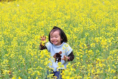 Cay nồng vị cải miền cao nguyên đá