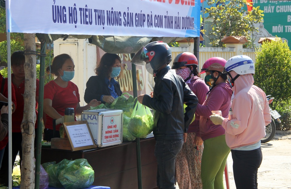 Giải cứu nông sản Hải Dương:Bán 0 đồng dân tự nguyện góp 100.000 đồng - 5 Giải cứu nông sản Hải Dương:Bán 0 đồng dân tự nguyện góp 100.000 đồng - 5